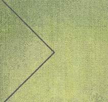 Ковровая плитка Milliken Clerkenwell tgp 118-103-141 Former Glory фото 1 | FLOORDEALER